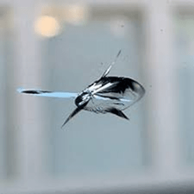 window crack